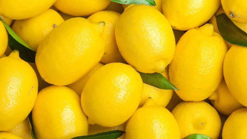Pautas para preservar la calidad poscosecha del limón fino.jpg